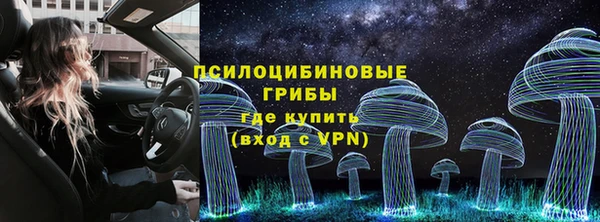 тгк Магас