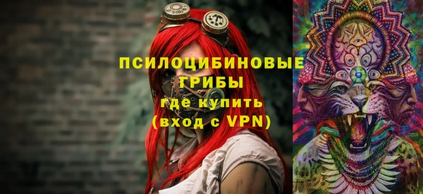кокс Алексин