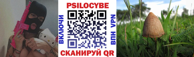 Галлюциногенные грибы Magic Shrooms  ссылка на мегу ТОР  Новая Ляля  закладки 